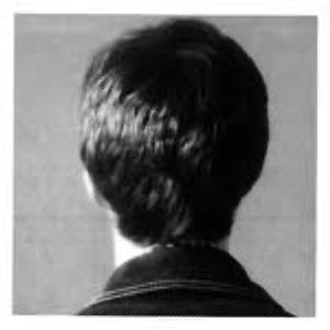 Back of Noels head.